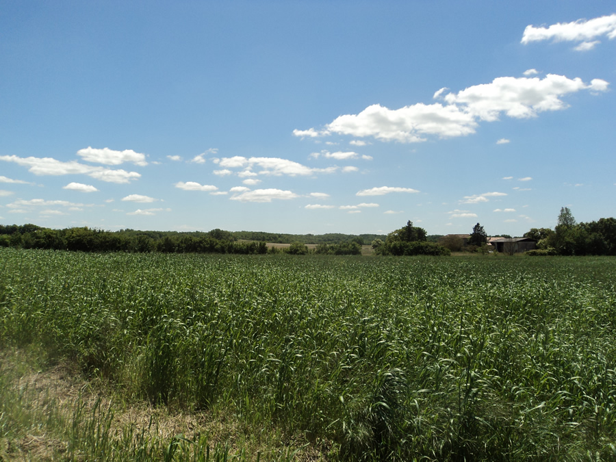 Entrée de saint Matré sur la D4